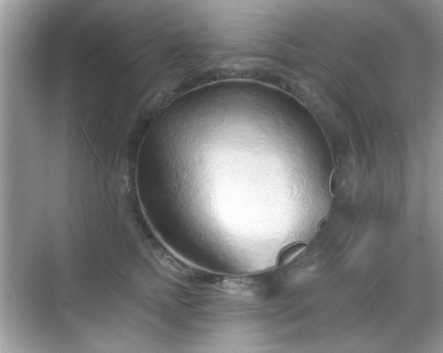 X0000069360758200605121116