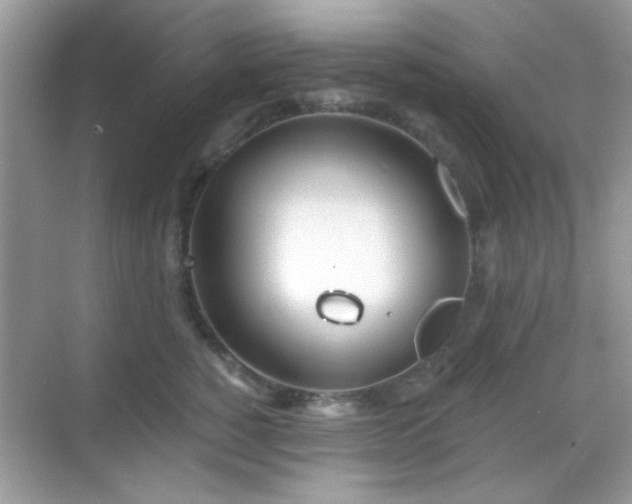 X0000069360760200605121116