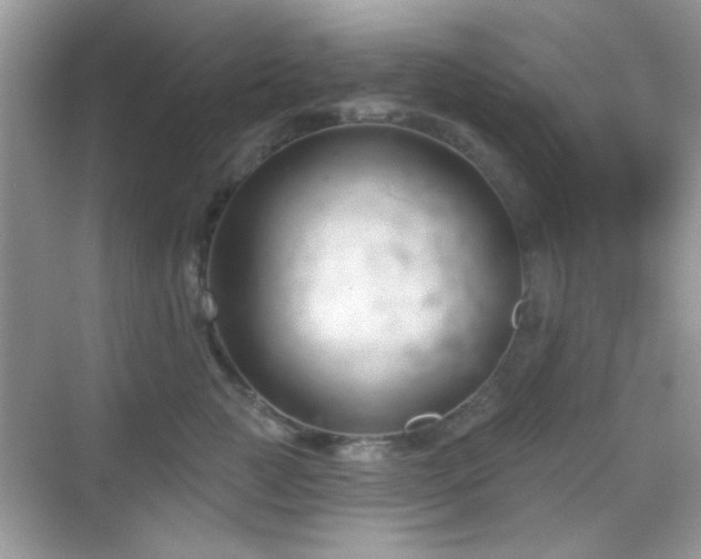 X0000069360761200605121116