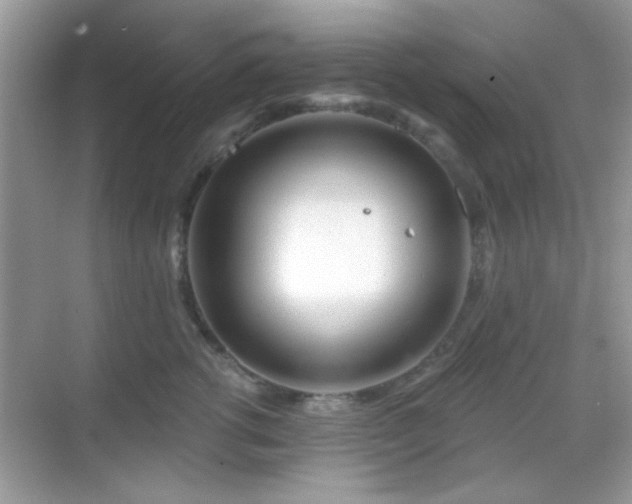 X0000069360762200605121116