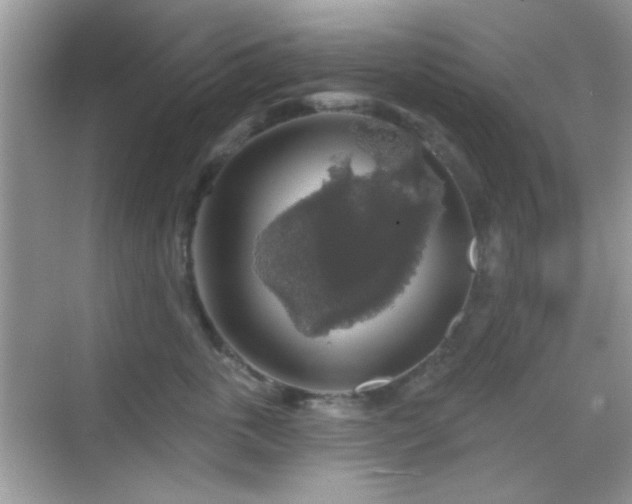 X0000069360763200605121116