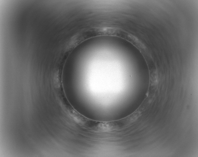 X0000069360764200605121116