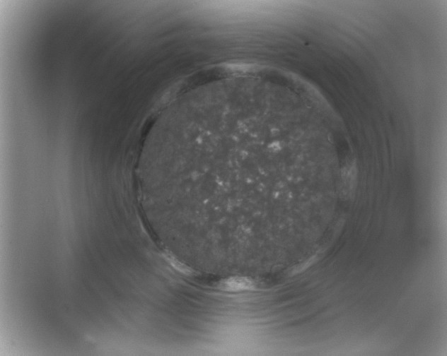 X0000069360765200605121116