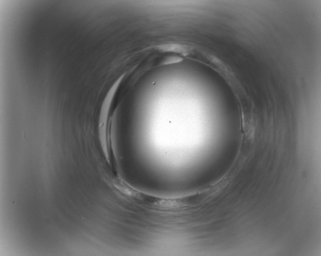 X0000069360766200605121116