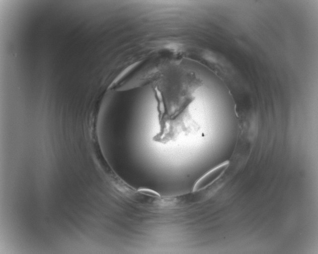 X0000069360767200605121116