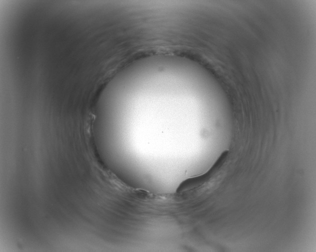 X0000069360768200605121116