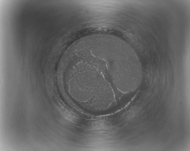 X0000069360769200605121116