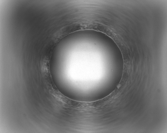 X0000069360770200605121116