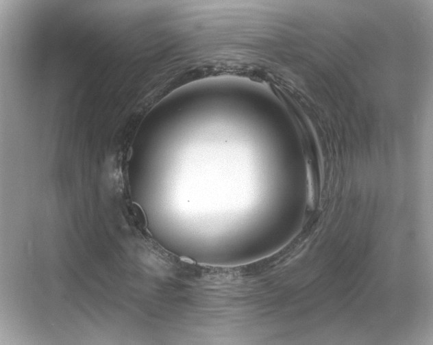 X0000069360771200605121116