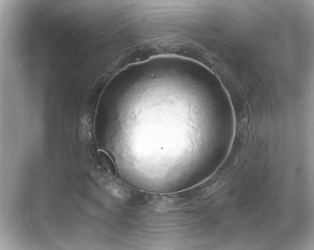 X0000069360772200605121116