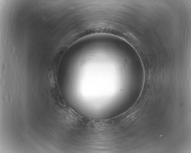 X0000069360774200605121116