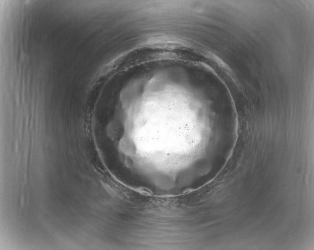 X0000069360775200605121115