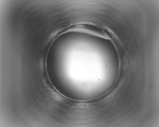 X0000069360777200605121115