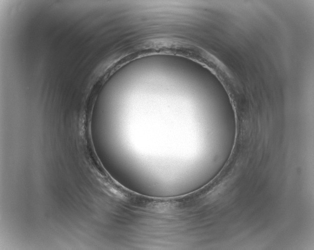 X0000069360778200605121115