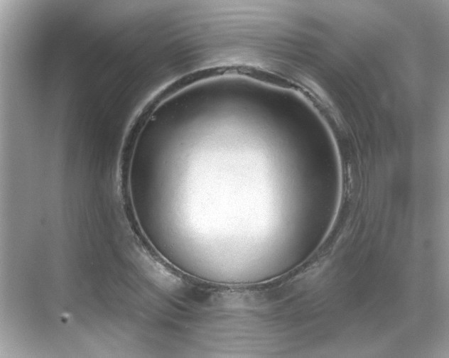 X0000069360780200605121115