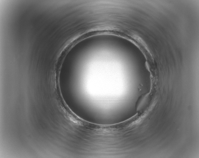 X0000069360781200605121115