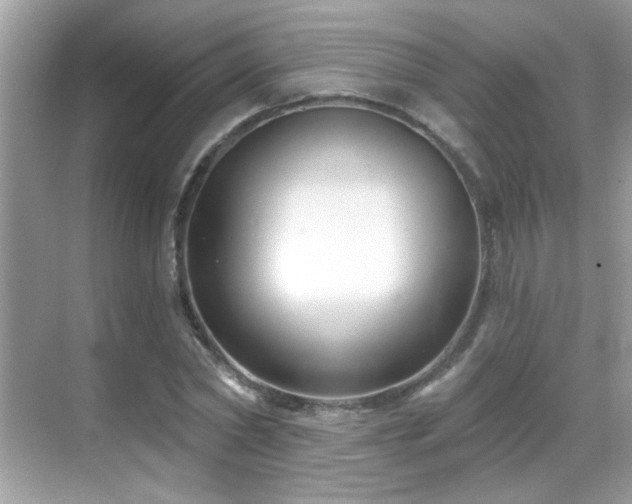 X0000069360782200605121115