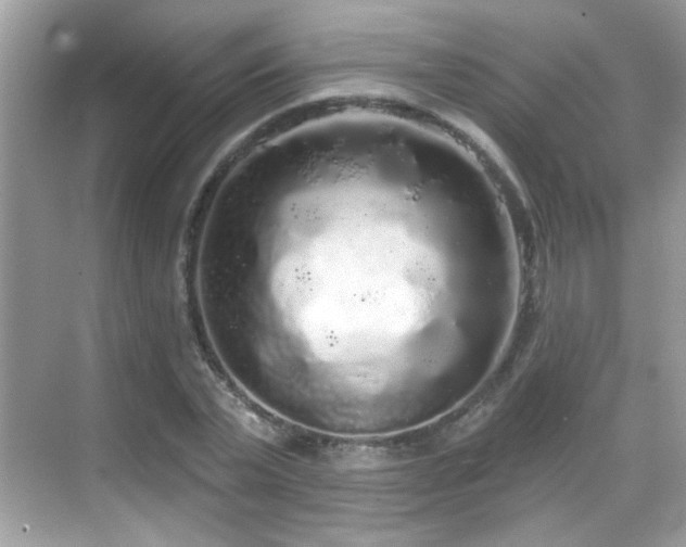 X0000069360783200605121115