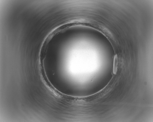 X0000069360784200605121115