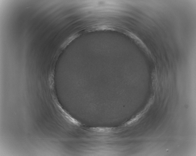 X0000069360785200605121115