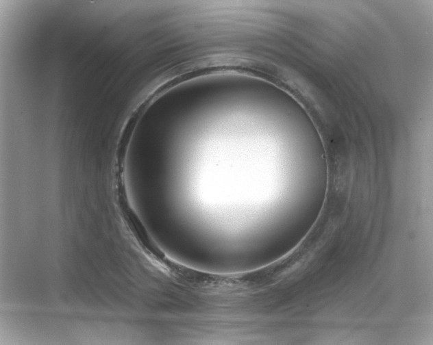 X0000069360786200605121115