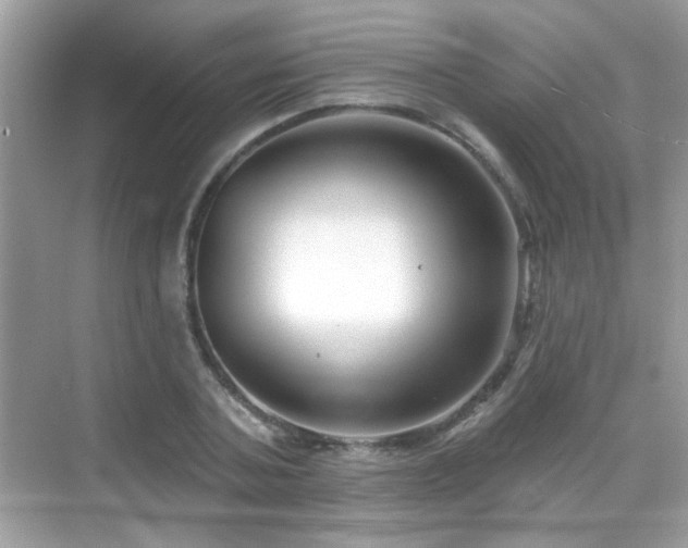 X0000069360787200605121115