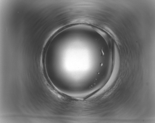 X0000069360788200605121115