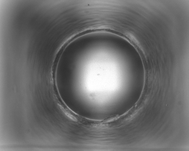 X0000069360789200605121115