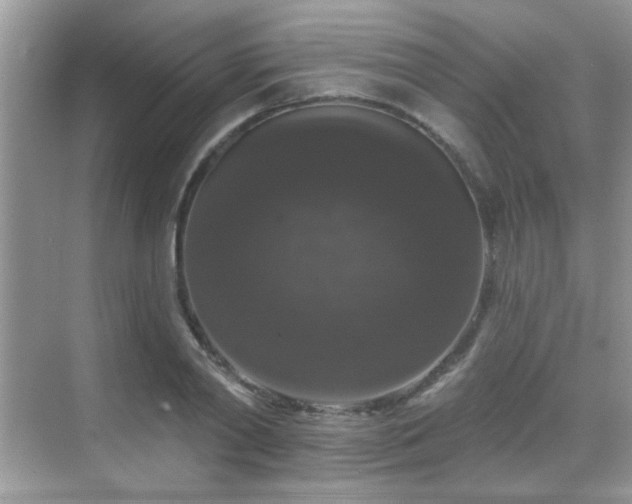 X0000069360790200605121115