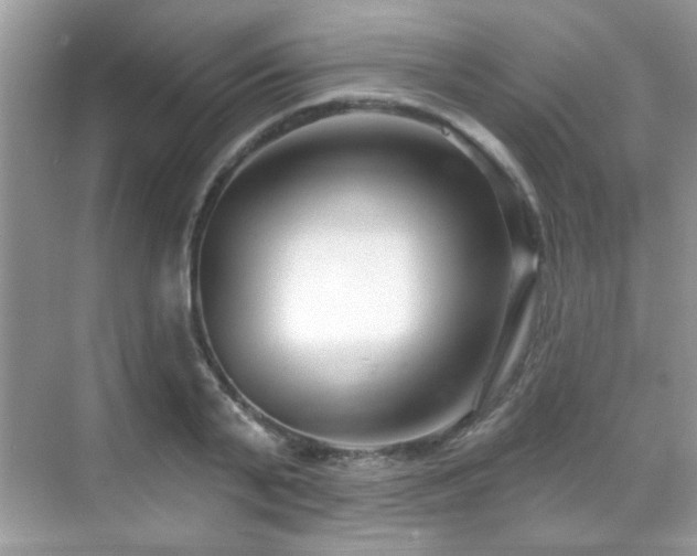 X0000069360791200605121115