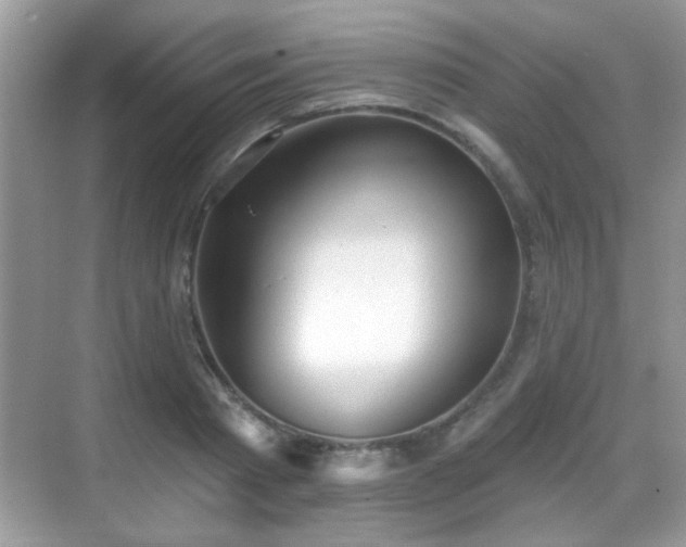 X0000069360793200605121115