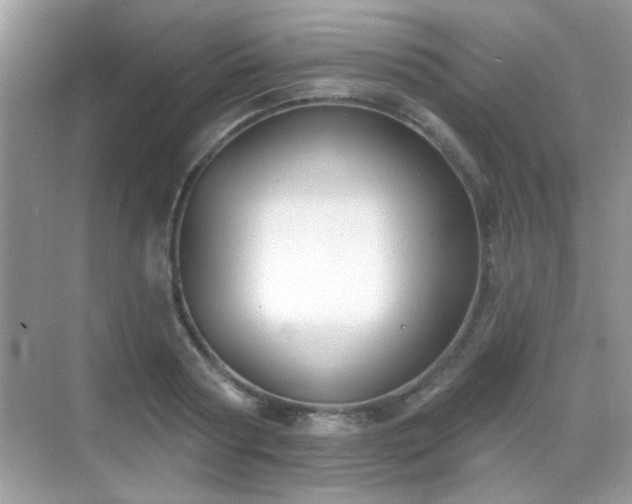 X0000069360794200605121115