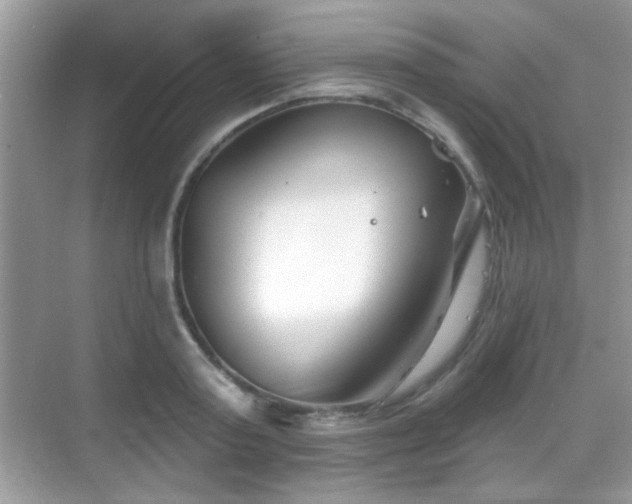 X0000069360795200605121115