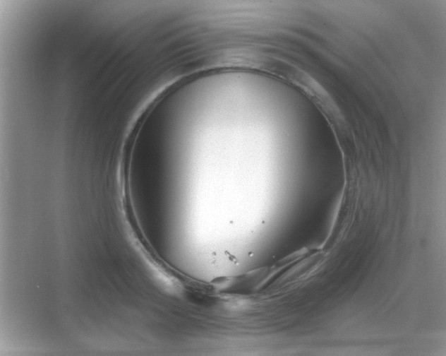 X0000069360796200605121115