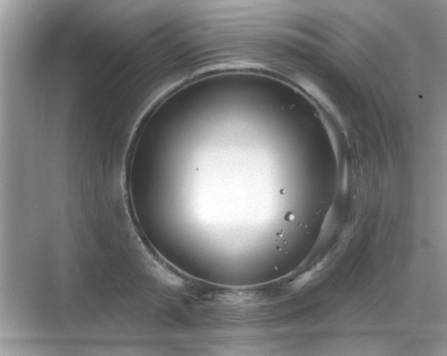 X0000069360797200605121115