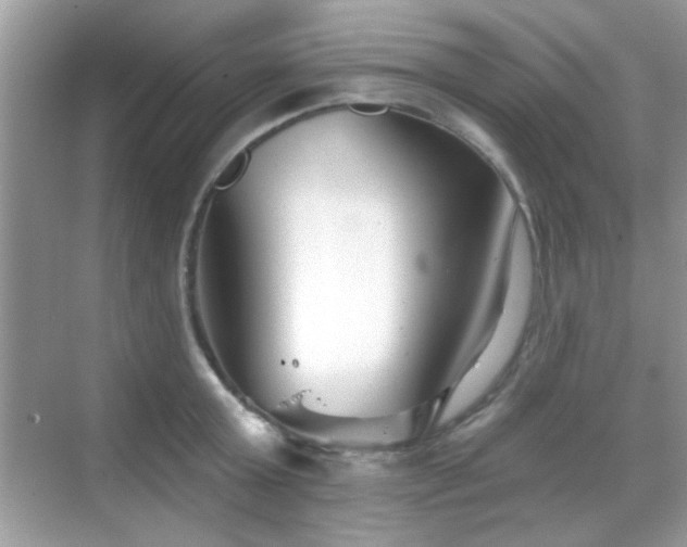 X0000069360803200605121115