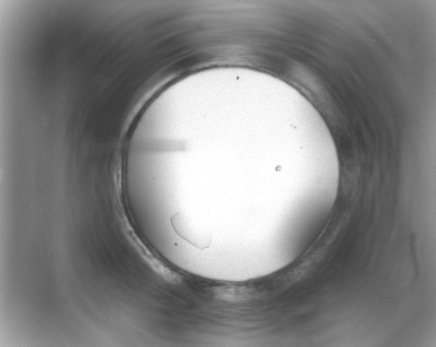 X0000069360804200605121115