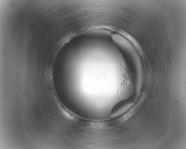 X0000069360809200605121115