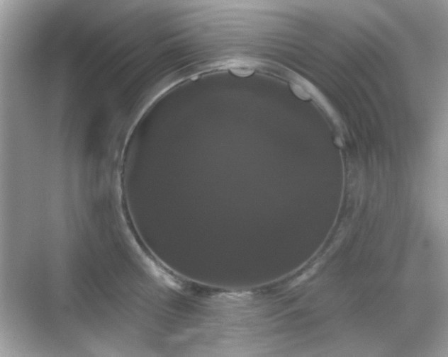 X0000069360810200605121115