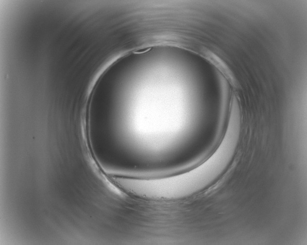 X0000069360812200605121115