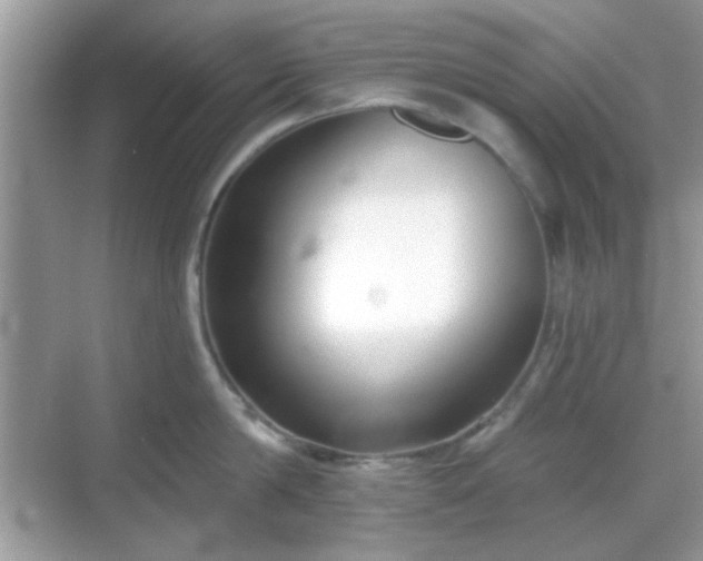 X0000069360814200605121115