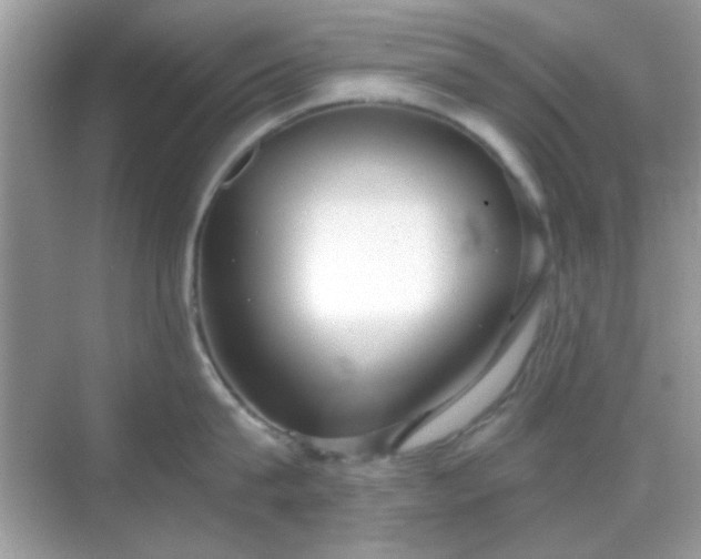 X0000069360815200605121115