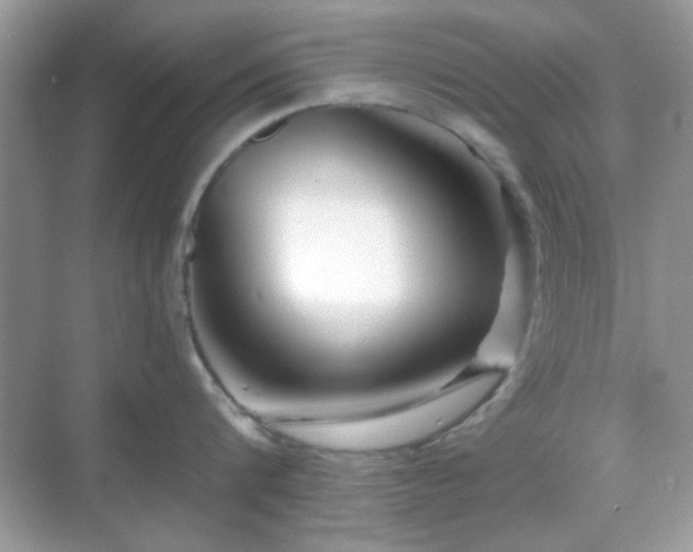 X0000069360816200605121115