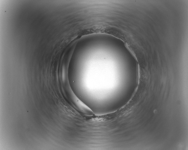 X0000069360818200605121114