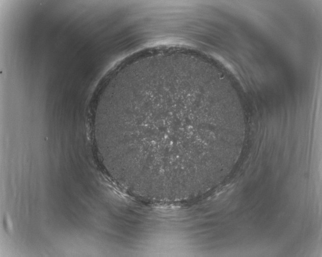 X0000069360823200605121114