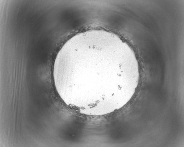 X0000069360824200605121114