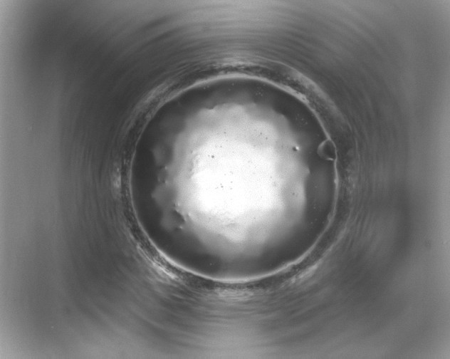 X0000069360825200605121114