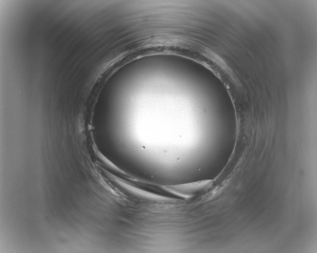 X0000069360826200605121114