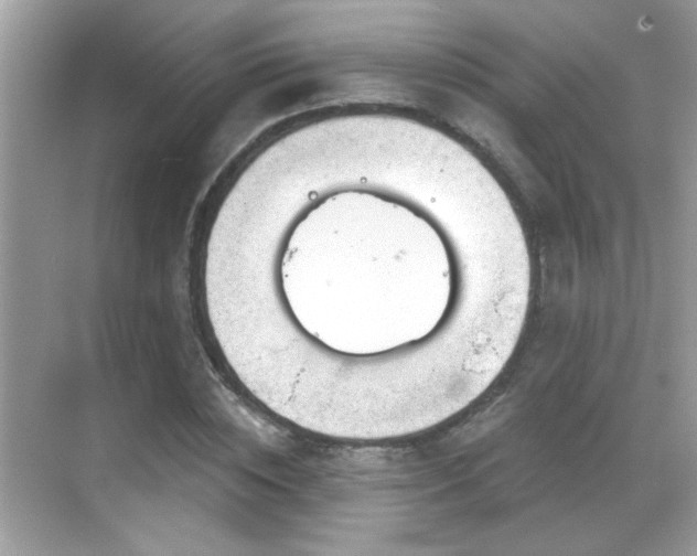 X0000069360828200605121114