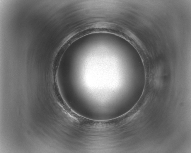 X0000069360829200605121114